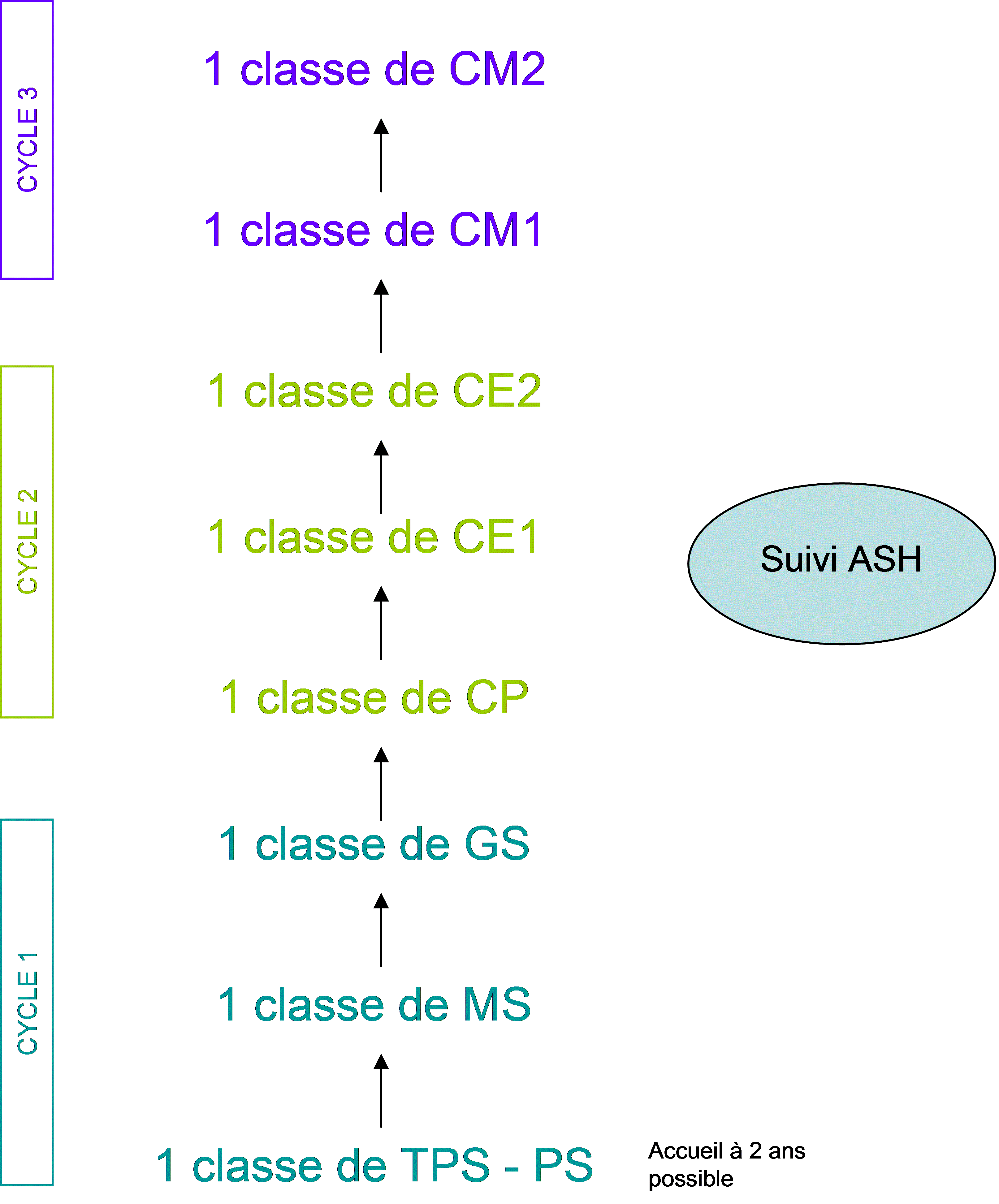 Schéma structure SC